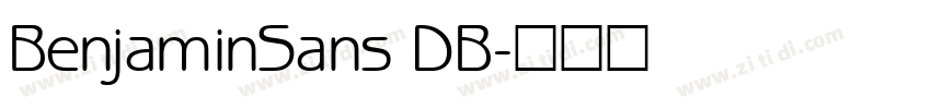 BenjaminSans DB字体转换